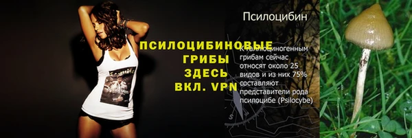 героин Арсеньев